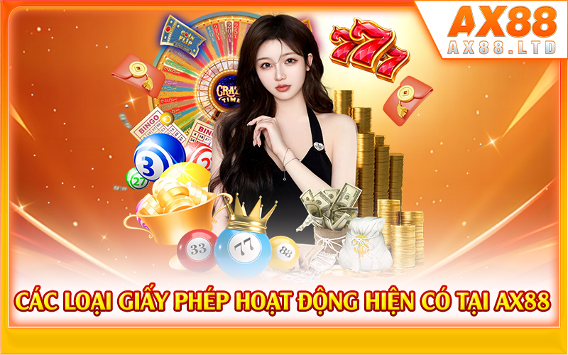 Các loại giấy phép hoạt động hiện có tại AX88